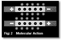Fig 2: Molecular Action