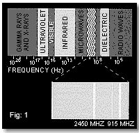 Fig 1: Microwave Frequency